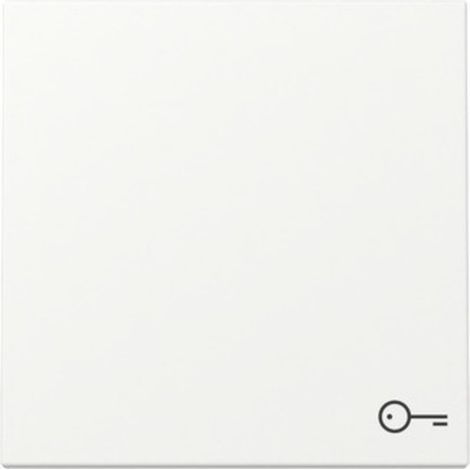 Gira Wippe System 55, Symbol Tür, Reinweiß seidenmatt, 328727