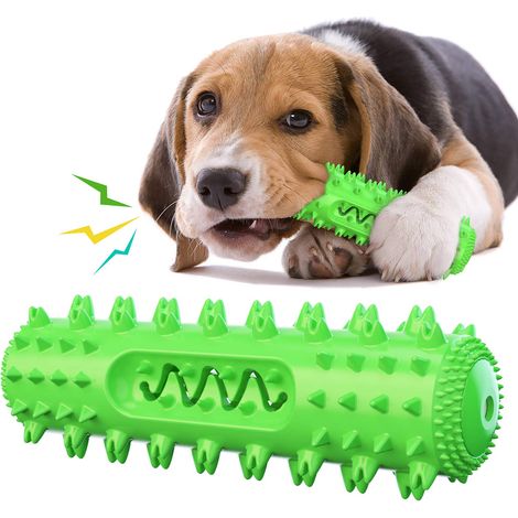 Jouet Masticatoire Pour Chien - Brosse À Dents Pour Chien - Design Ergonomique Avec Relief Dentaire Et Cavity Pour Garnissage - 1 Pièce - Vert
