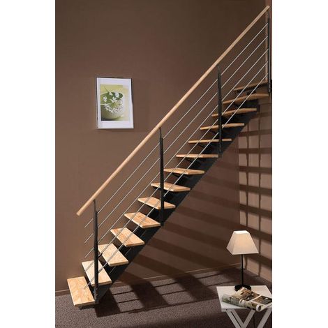 Rambarde d'Escalier Twin Anthracite Tubes Inox Pin Brut France
