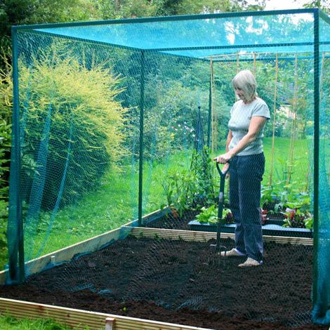Walk In Fruit Cage with 7mm Butterfly Net (no door) - 4m x 2m x 2m high