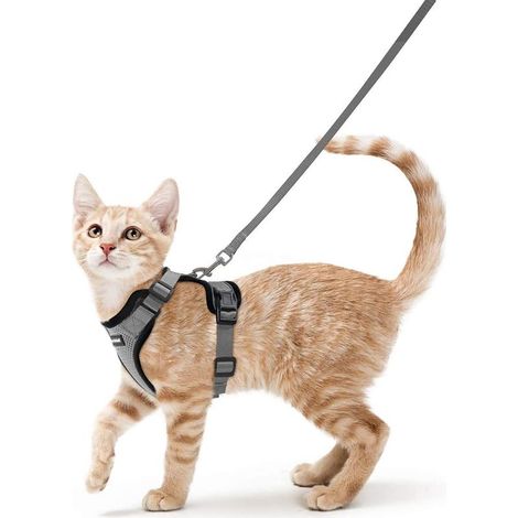 Harnais Chat Petit Chien Laisse Harnais Chaton Réglable Gris XS Collier Harnai Chat Refléchissant Gilet Respirant pour Lapin, Chat Européen, Maine Coon, Persan, Attache Dessus avec Laisse (1/5)