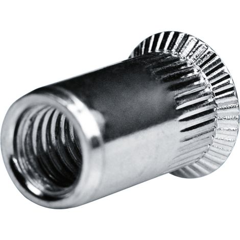 GOEBEL - 250 x Écrou à sertir M 10 - Acier  [ AISI 1008 ] Zingué - Tête fraisée  Arbre rond - Extrémité de l'arbre  ouverte - GO-NUT - 7551001000 (1/5)