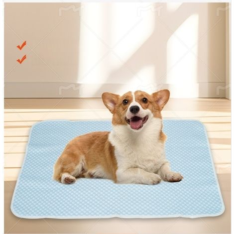 Tapis rafraîchissant pour animaux de compagnie - Respirant et confortable M (1/5)