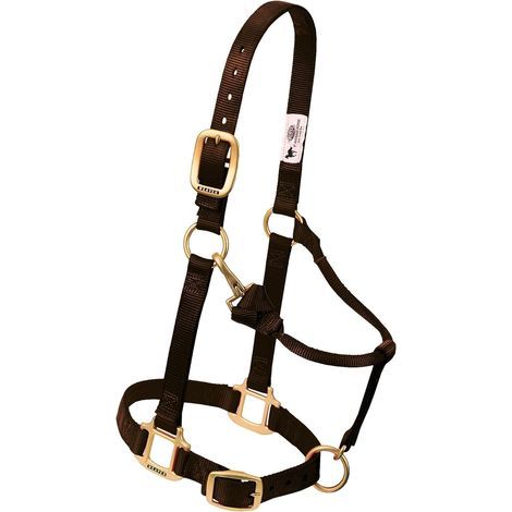 1 Licol Cheval Nylon 2,5cm Laiton Réglable Triple Épaisseur Équitation (1/2)