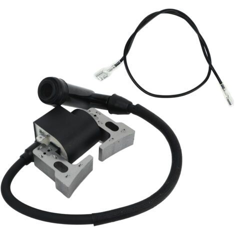 FOREHILL Accessoire de bobine d'allumage professionnel 20B 79430 H1 de remplacement pour moteur Robin modèle EX35 EX40 (1/4)