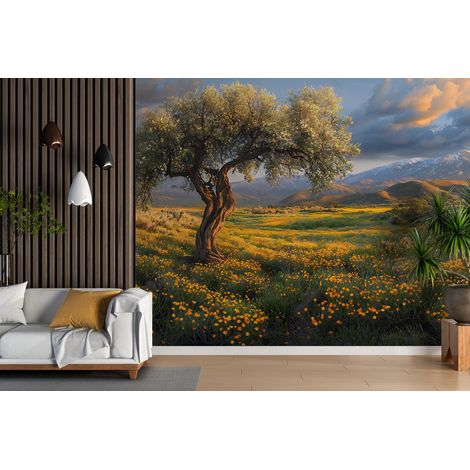 Papier peint campagne - olivier centenaire des collines - 150 x 250 cm (1/2)