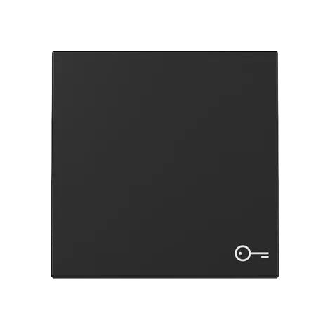 Gira Wippe Symb. Tür System 55 Schwarz m [3287005], 3287 005