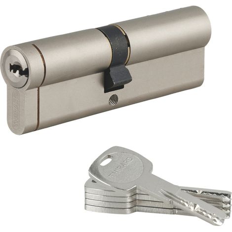 THIRARD - Cylindre double entrée Transit 1 UNIKEY (achetez-en plusieurs, ouvrez avec la même clé), 50x50mm, 5 clés, nickelé - THIRARD