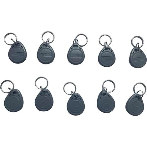 Lot de 10 porte-clés RFID 125 kHz avec étiquette RFID em4100 (gris) (1/5)
