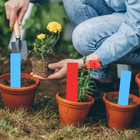 100 Pieces Plant Labels PVC Plant Flower Pot Markers Nursery Garden Seed Sign Tags - Garden Use (blue, red) (1/5)