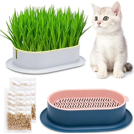 2pcs Bac à Herbe à Chat Hydroponique,Bols d'herbe à Chat,Jardinière d'herbe à Chat,Kit De Croissance d'herbe à Chat,Station d'alimentation avec Herbe à Chat pour Chat,pour Jardin, Maison, Bureau (1/5)