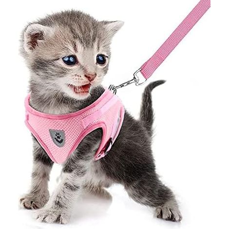 Harnais Chat et Laisse, Harnais Chaton Chiot Anti évasion Réglable Réfléchissant Gilet en Maille Respirant Souple pour Petits Chiens et Chats (1/5)