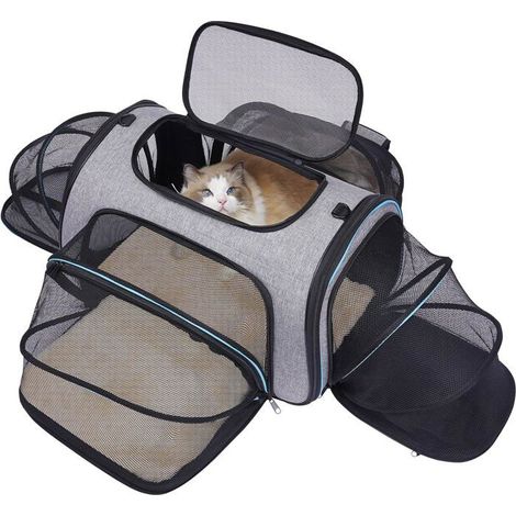 BelleRise - Sac de transport pour chat - Homologué pour le transport aérien : Sac de transport extensible à 4 côtés pour animaux de compagnie. (1/5)