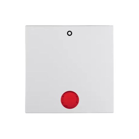 Berker Wippe pws Aufdruck 0 16241909 (1/2)