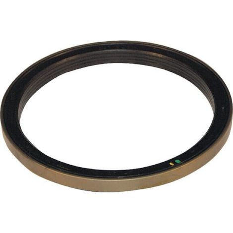 Dichtring ZF 0734309401