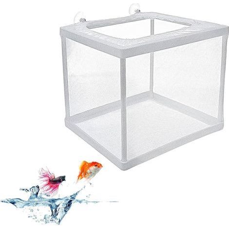 1 Boîte D'Élevage, Filet Mailles Denses, Ventouses Fixation, Séparation Poissons Malades, Aquarium Verre (1/5)