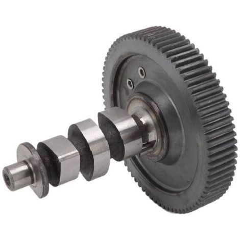Arbre à cames, accessoire d'arbre à cames facile à installer, conception universelle en acier forgé robuste, compatible avec 170F/173F (1/5)