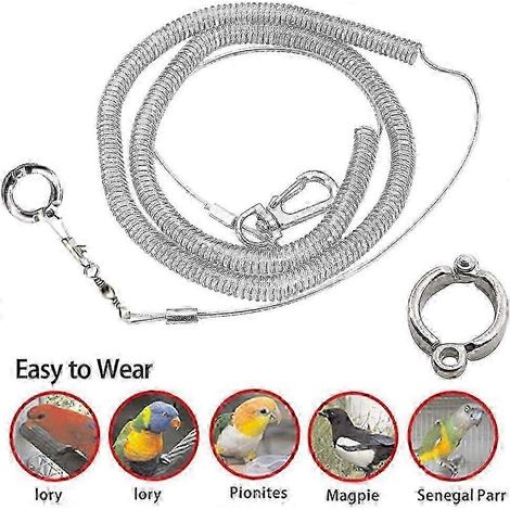 Bracelet pour oiseau de compagnie, chaîne pour patte de perroquet 3M ultra-léger, harnais et laisse anti-morsure, corde d'entraînement au vol en extérieur, accessoires pour animaux de compagnie pour a (1/5)