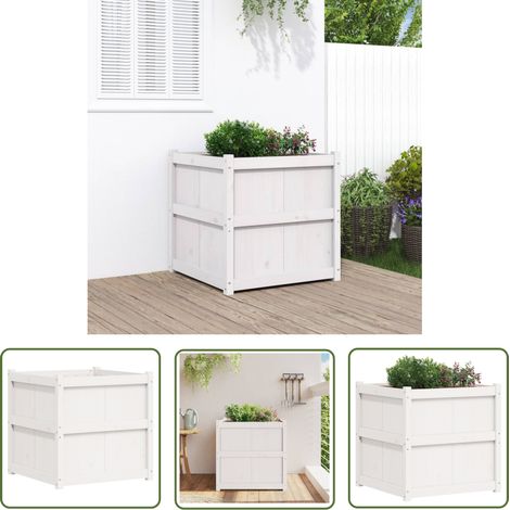 The Living Store Jardinière d'extérieur blanc 70x70x70 cm bois de pin massif - Jardiniered'extérieure - Jardinière Blanche - Pot De Fleurs Extérieur - Bac À Fleurs - Bois De Pin (1/5)