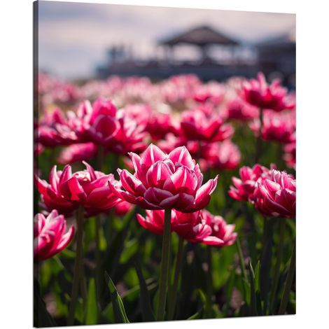 Stampa su tela con tema botanico: tulipani, fiori, 80x100 cm, bouquet di fiori