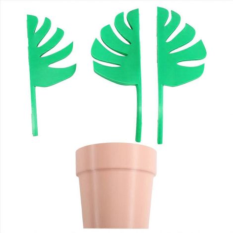 Miroir mural Monstera, étagère de rangement murale pour salle de bain, porte-bijoux et montres, porte-brosse à dents (1/5)