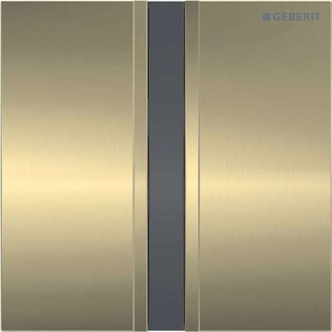 Geberit - Pissoirspülung mit elektronischer Bedienung, Netzanschluss, Abdeckplatte Typ 50, Messing 116.026.QF.1 (1/5)
