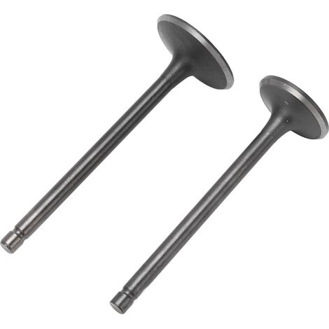 Kit de soupapes d'échappement et d'admission noires, jeu de soupapes d'échappement et d'admission de remplacement pour XG250 TRICKER 2004‑2017 (1/5)