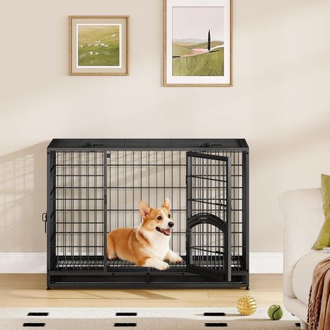 Cage pour Chien Lourd, L Cage pour Chien Métal avec Porte Latérale et Plateau Amovible, Facile à Nettoyer, 4 Portes Caisse pour Animaux, Caisse Chien Intérieur, Noir