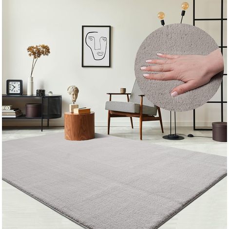 Tapis Moderne Moelleux à Poils Courts, antidérapant, Lavable Jusqu’à 30°C, Super Doux, Aspect Fourrure, pour Salon et Chambre, décoratif, Sable, 300 x 400 cm (1/4)
