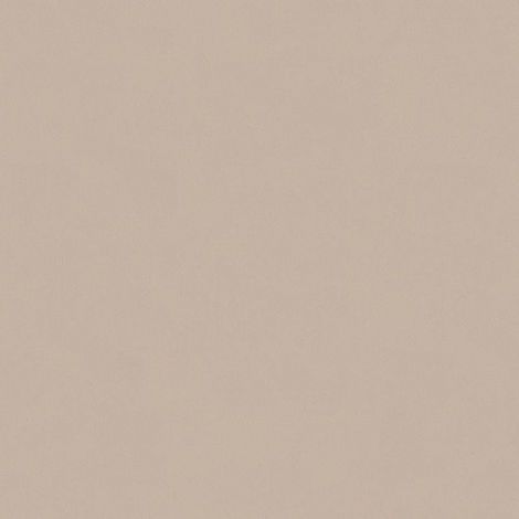 Papier peint 307256 BRICOFLOR Longlife Colours (1/3)