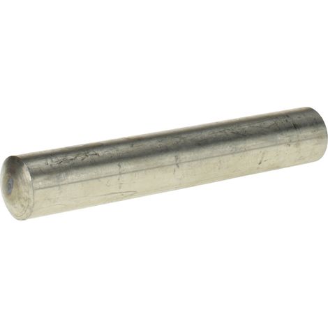 Reidl DIN 7 Zylinderstifte ungehärtet 20x100, Toleranzfeld m6, A4 blank