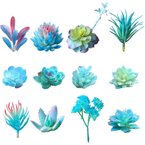 12 têtes de fleurs succulentes artificielles de la série bleue créative (1/5)