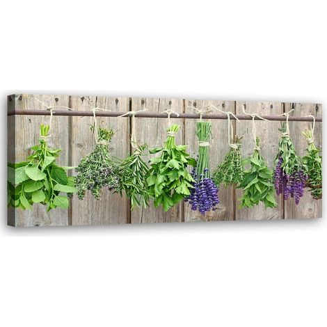 Quadro su tela, Erbe da cucina Spezie - 150x50 (1/5)