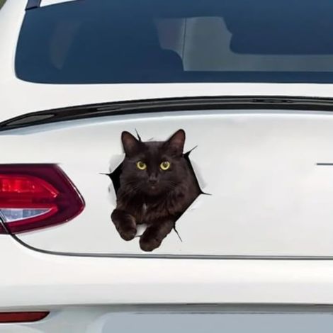 Lot de 2 autocollants en vinyle chat noir - 12 x 13 cm - Autocollants réalistes pour voiture, fenêtre, ordinateur portable, effet 3D, imperméables et durables - Autocollant de voiture   DS05 (1/5)