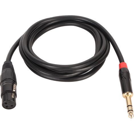 Câble Microphone 2m XLR Femelle vers Jack 6.35mm TRS Symétrique Haute Qualité (1/5)
