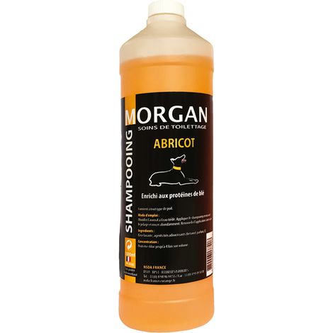 Shampoing protéiné à l'abricot Morgan : 1L