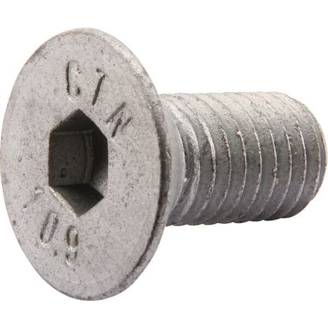 Tornillo avellanado KRONE 9040622