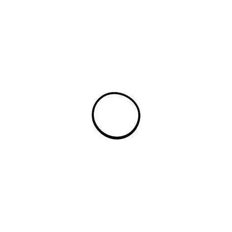 O-Ring für Deckel