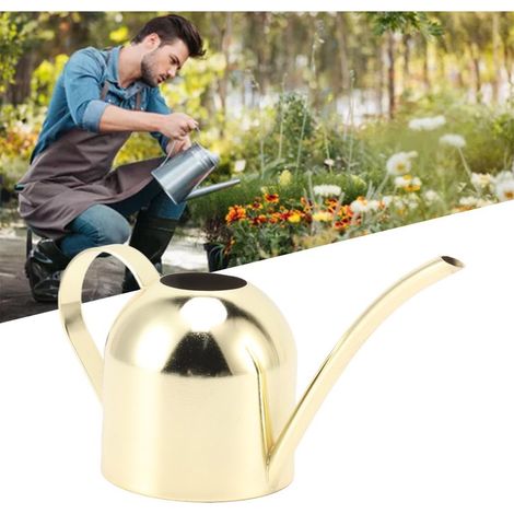 【Bidon d'arrosage】 Bidon en acier inoxydable grand volume avec longue buse dorée pour jardinage maison indoor/outdoor