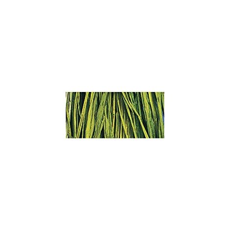 RAYHER - RAFIA NATURALE COLORE VERDE MAGGIO MATASSINA  25GR. (1/3)