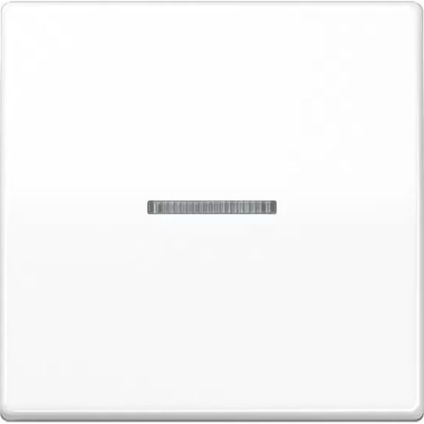 Jung Wippe Lichtleiter aws für Schalter/Taster AS 591 KO5 BF WW (1/2)
