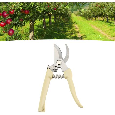 Ciseaux de Jardinage en Acier Inoxydable pour Taille des Branches Coupes Fruits Fleurs Outils de Greffe - KZQ (1/4)