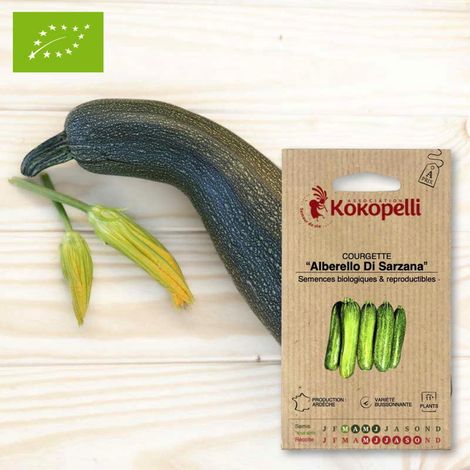 Courgette Alberello Di Sarzana