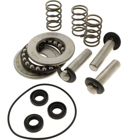 Kit pistoni + guarnizioni + cuscinetti per idropulitrice mac allister