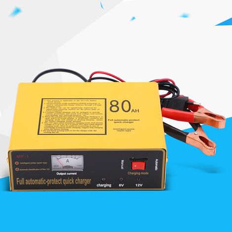 Chargeur de batterie MF-1 6V/12V pour véhicules pour enfants et motos, chargeur intelligent 120W pour batteries au plomb (norme européenne) (1/5)