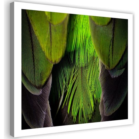 Tableau sur toile Plume oiseau vert 40x40 (1/5)