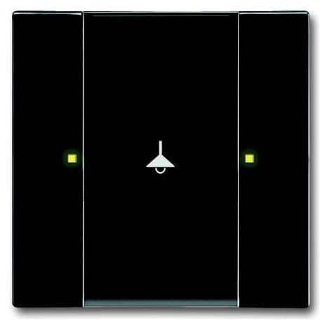 Poussoir 1 Touche Multifonctions Anthracite 2CKA006115A0216 ABB 587207
