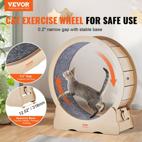 Roue d'Exercice pour Chat 910 mm Grande Roue de Course pour Chat d'Intérieur, avec Tapis Roulant Amovible, Teaser pour Chat pour Courir, Marcher, Entraînement, Convient à la Plupart des Chats (1/5)