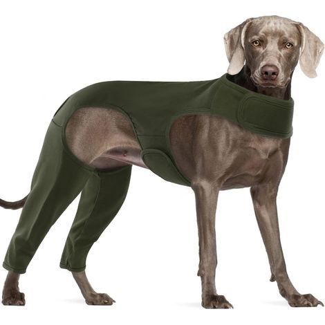 1 - Combinaison de convalescence - Manchon de protection pour chien - Protection des jambes arrière et du coude - Empêche le léchage et les infections - Pour soins postopératoires - Gris - 7 tailles d