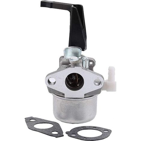 Carburateur Briggs & Stratton 696065 697422 pour salle d'outils (1/5)